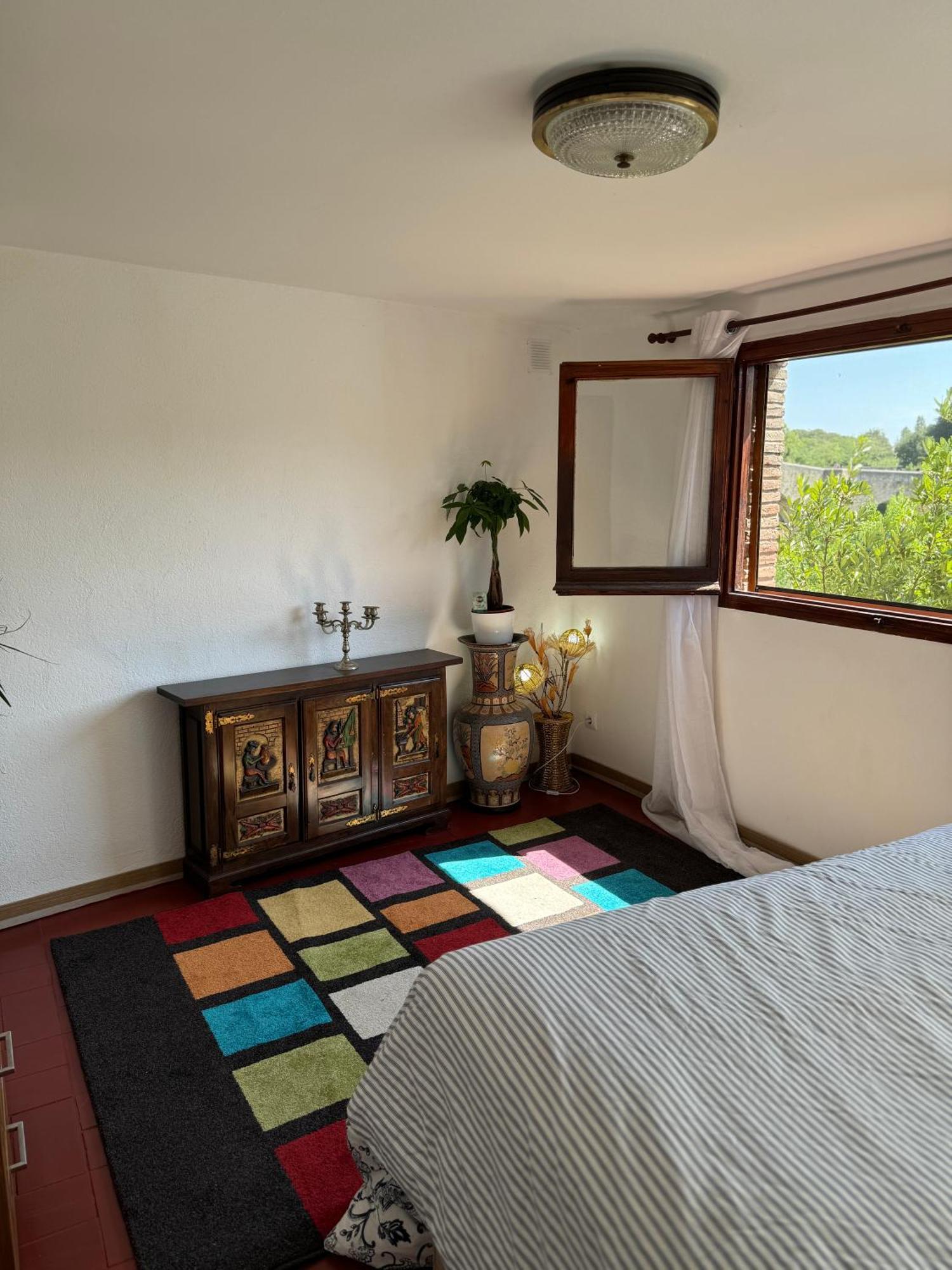 Pont Vell Apartment Besalu